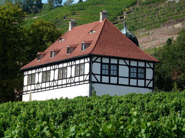 4-Zimmer-Altbauwohnung in Radebeul mit Dielenboden, Terrasse und Gartenanteil