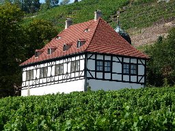 Altbau in Radebeul, Hinter den Weinbergen