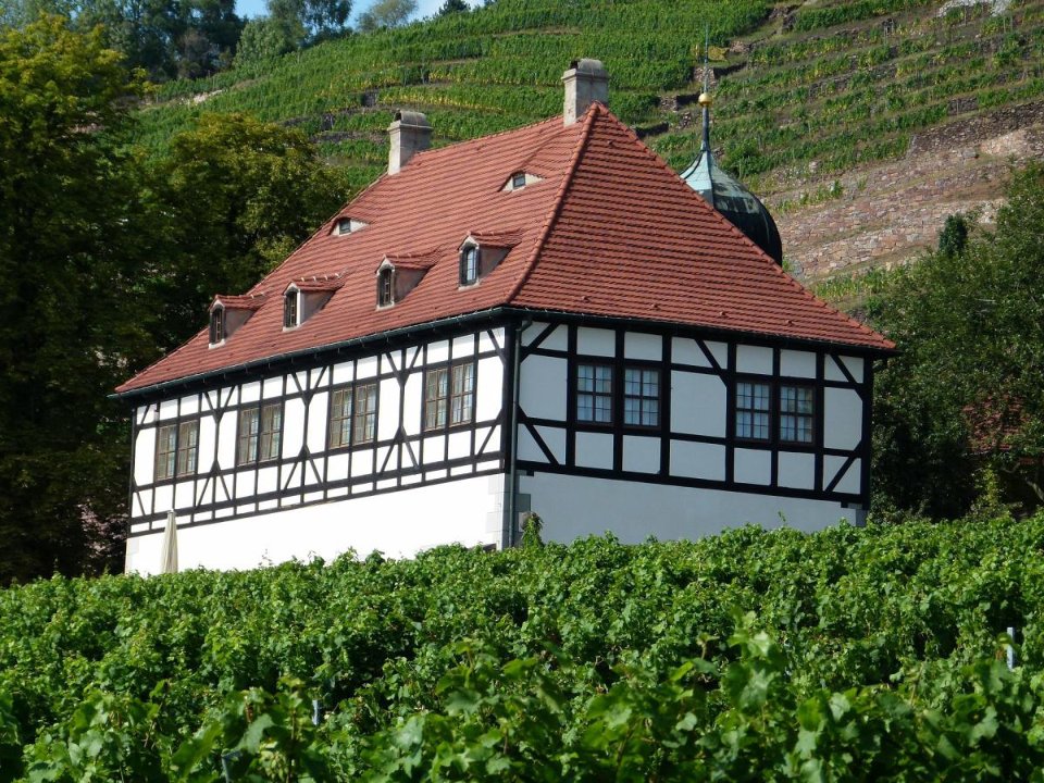 Altbau in Radebeul, Hinter den Weinbergen