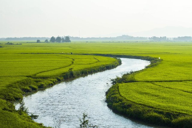 Landwirtschaftsfläche am Bach in Dresden zu verkaufen
